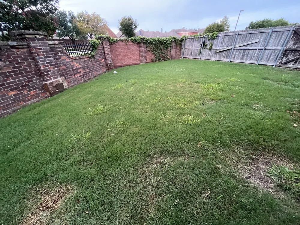 Top-rated landscape installation for year-round maintenance across Justin, TX - Weed Man