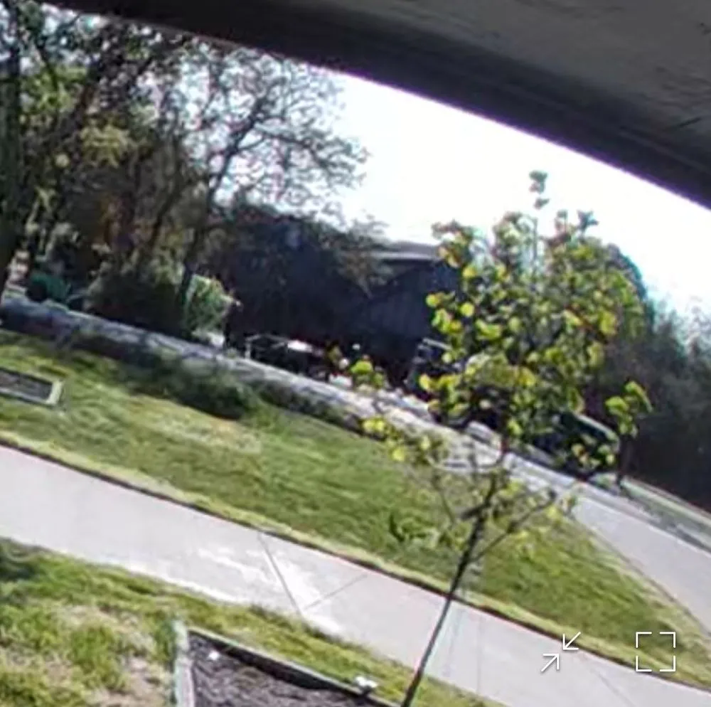 Professional lawn care service near you across Justin, TX - Weed Man