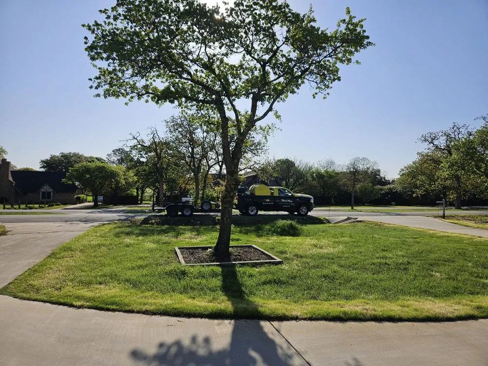 Affordable lawn mowing service in Justin, TX - Weed Man