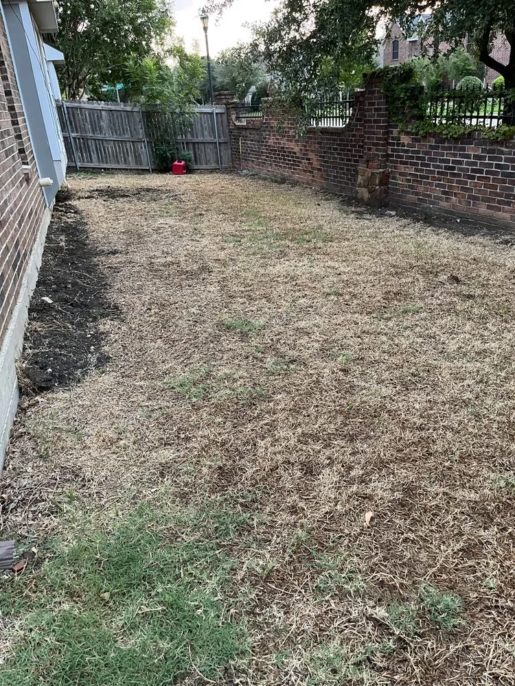 Local lawn care service in Justin, TX by Weed Man