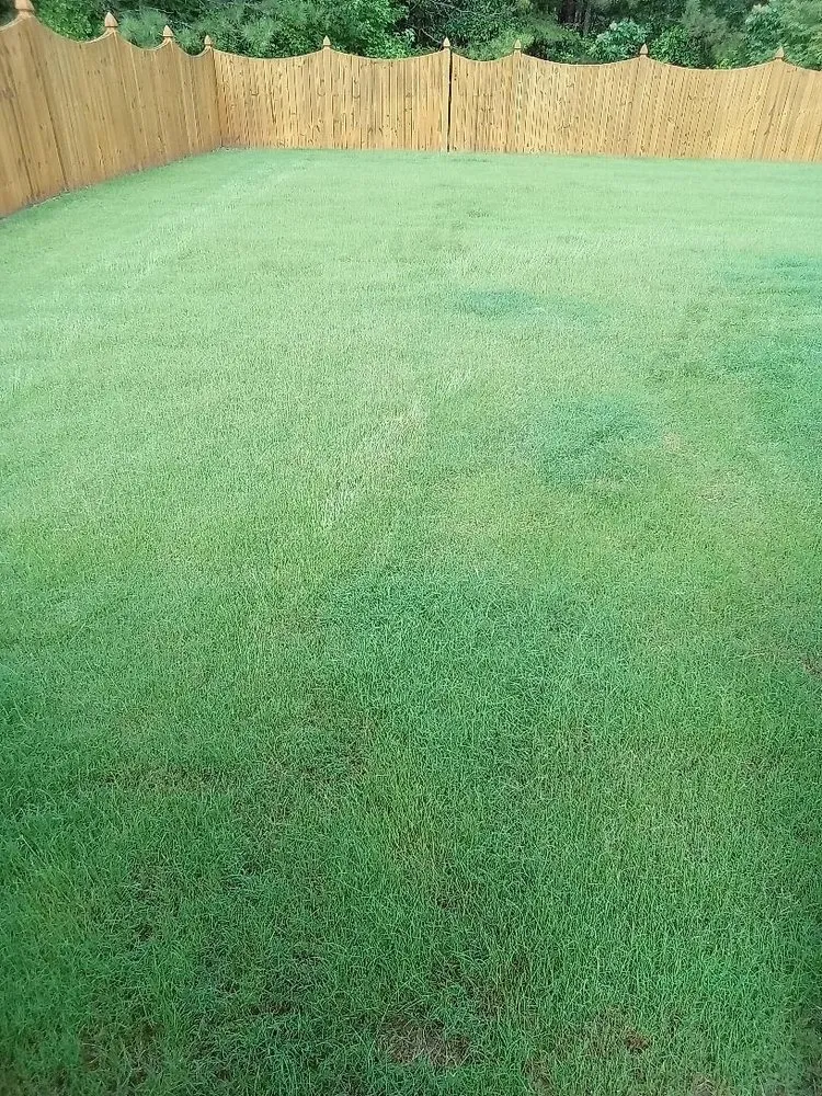 Expert yard maintenance experts serving Kennesaw, GA - Weed Man