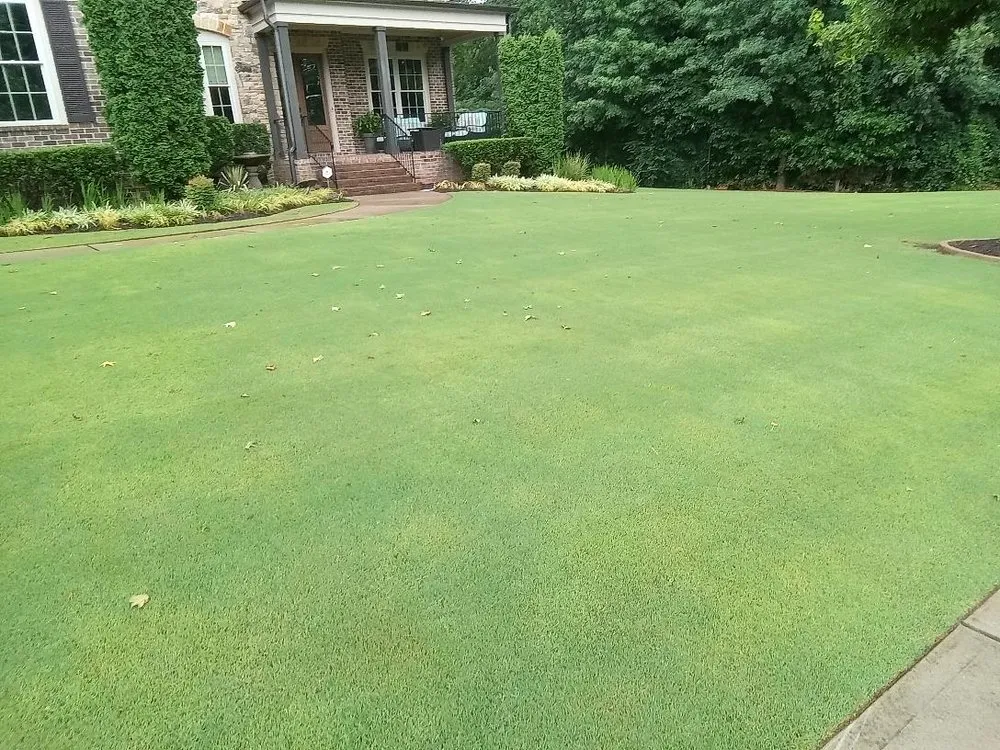 Custom garden landscaping in Kennesaw, GA by Weed Man