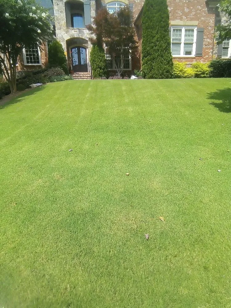 Local landscaping services in Kennesaw, GA - Weed Man