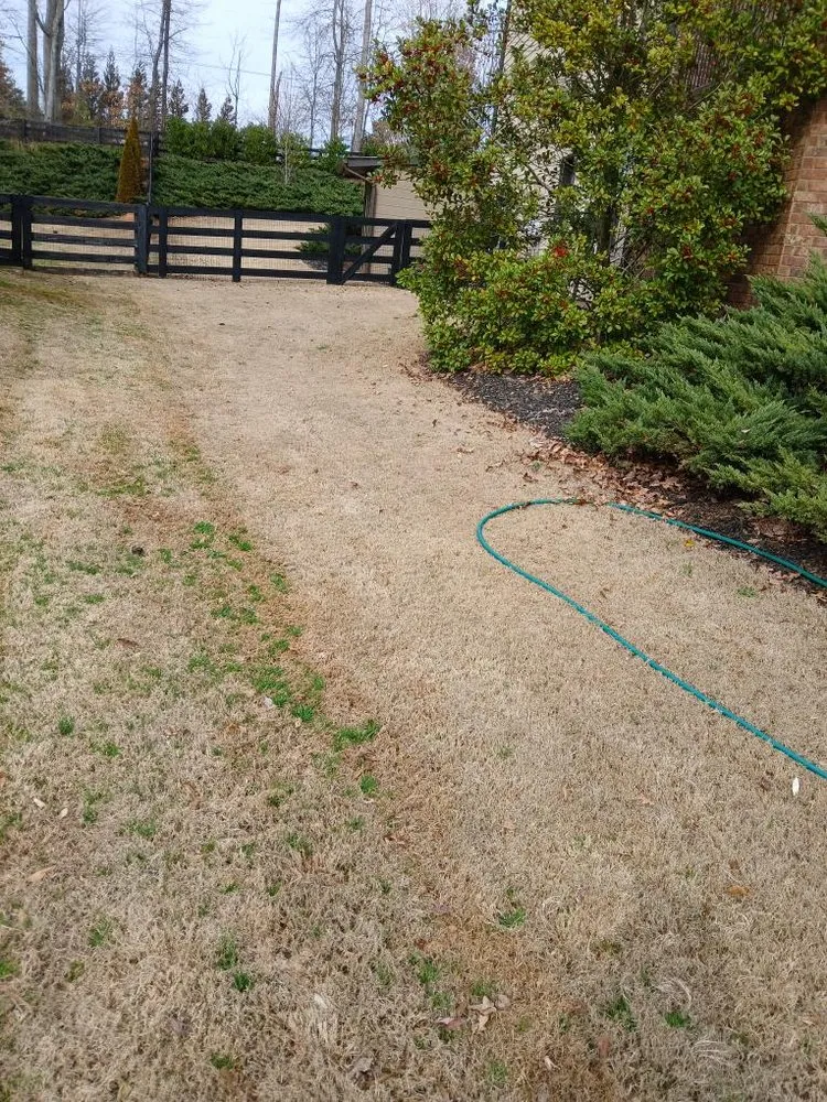 Custom lawn care service in Kennesaw, GA by Weed Man