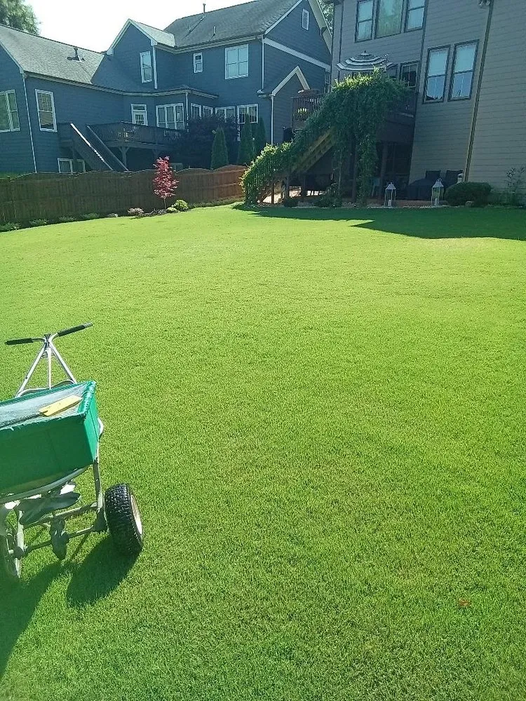 Affordable landscaping services in Kennesaw, GA by Weed Man