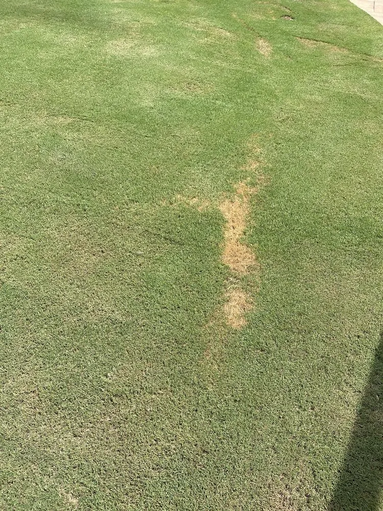 Expert lawn care service for residential properties in Kennesaw, GA by Weed Man