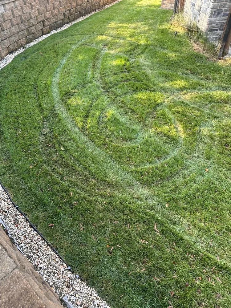 Professional landscape installation experts serving Knoxville, TN - Weed Man