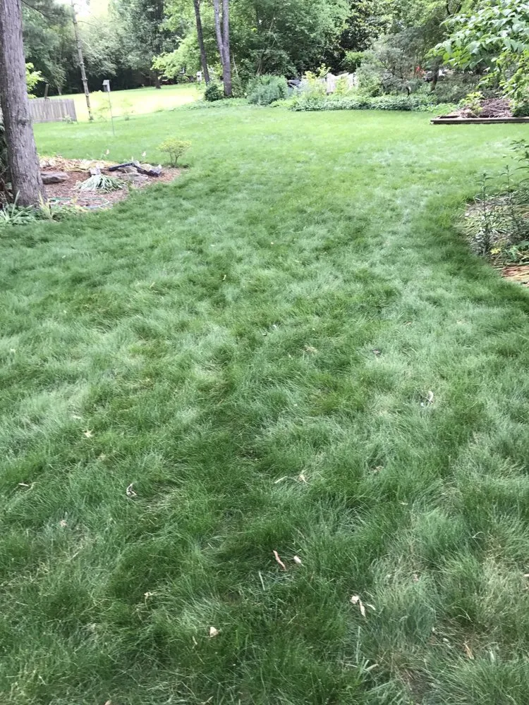 Reliable landscaping services for residential properties across Knoxville, TN - Weed Man