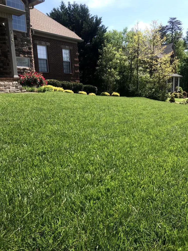 Reliable lawn care service in Knoxville, TN - Weed Man