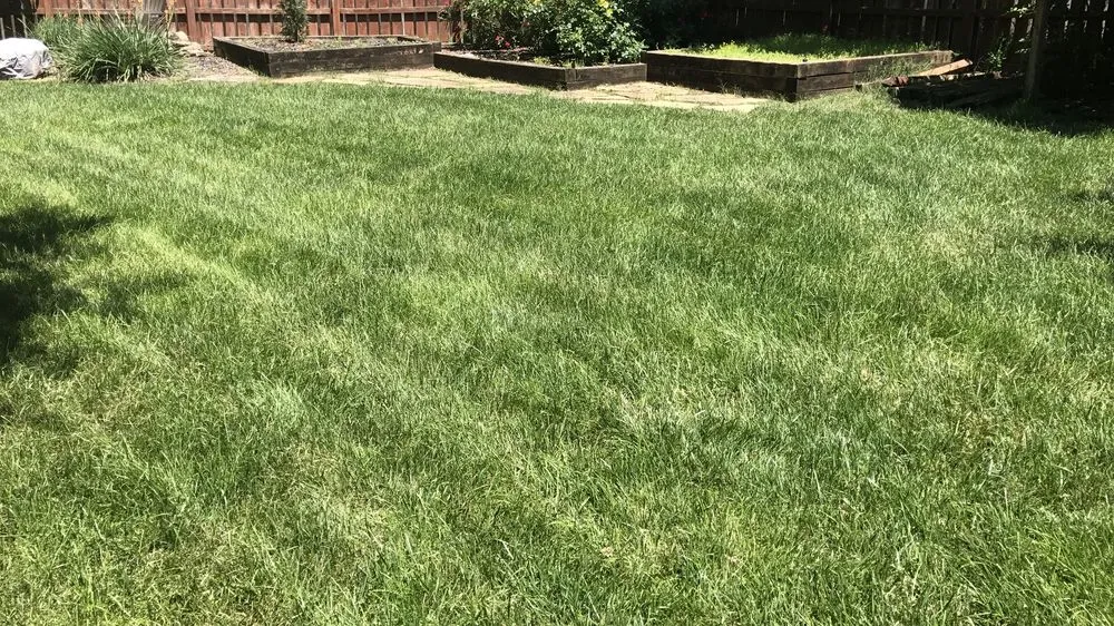 Reliable garden landscaping in Knoxville, TN by Weed Man