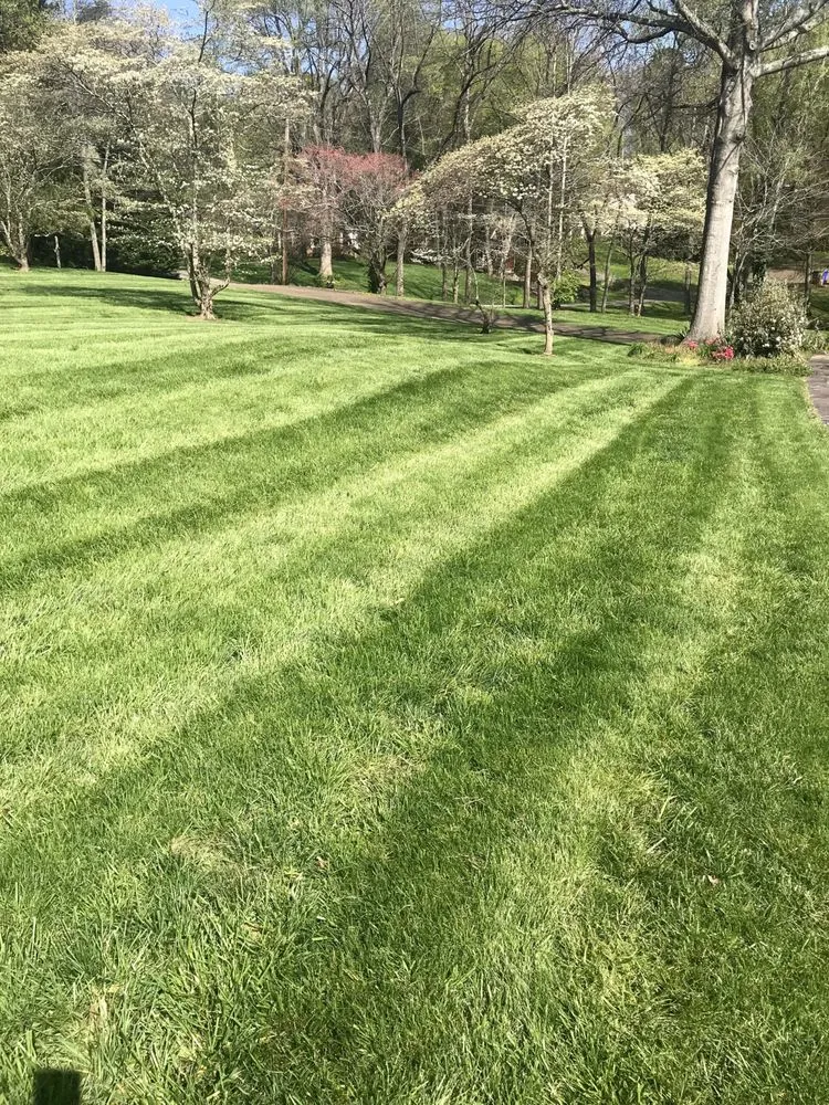 Professional landscape installation in Knoxville, TN by Weed Man