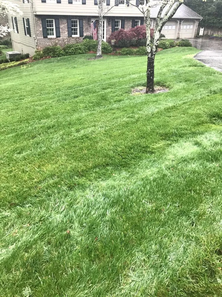 Top-rated garden landscaping in Knoxville, TN - Weed Man