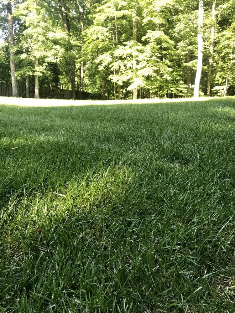 Trusted outdoor landscaping in Knoxville, TN - Weed Man