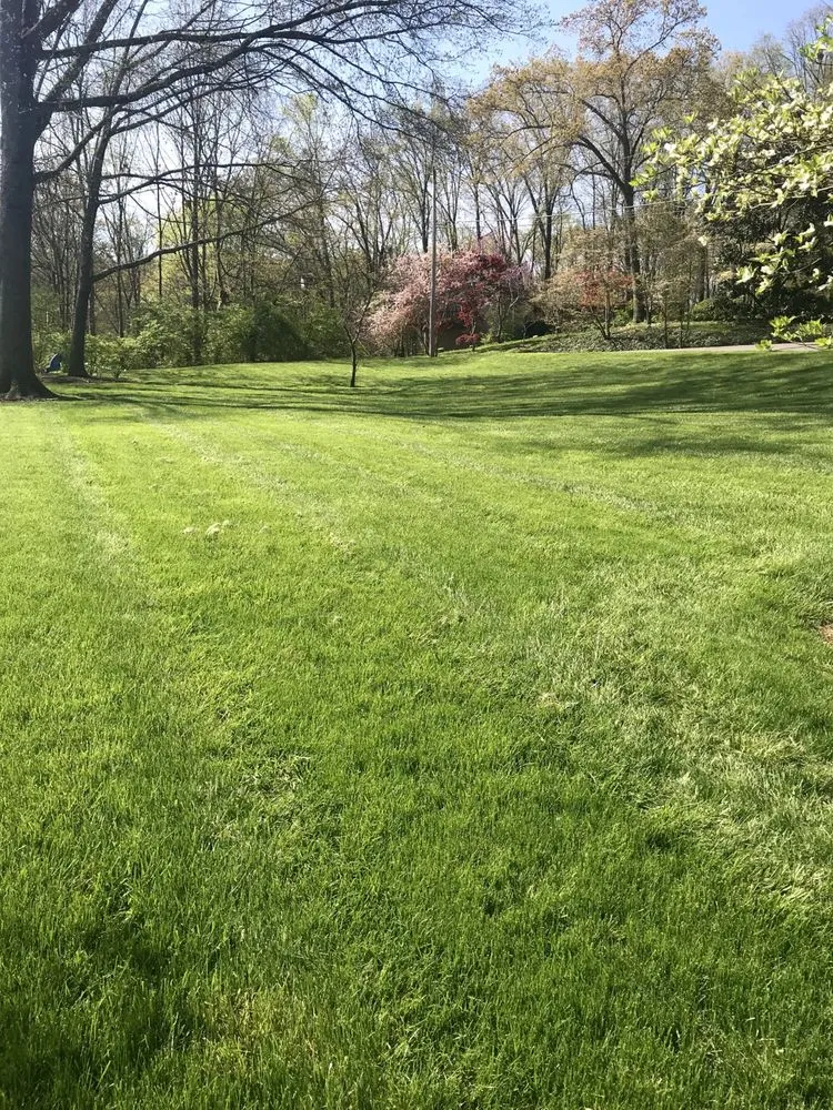 Top-rated outdoor landscaping in Knoxville, TN by Weed Man