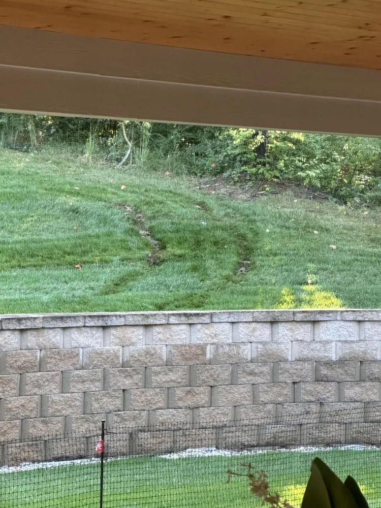 Professional landscaping services in Knoxville, TN by Weed Man