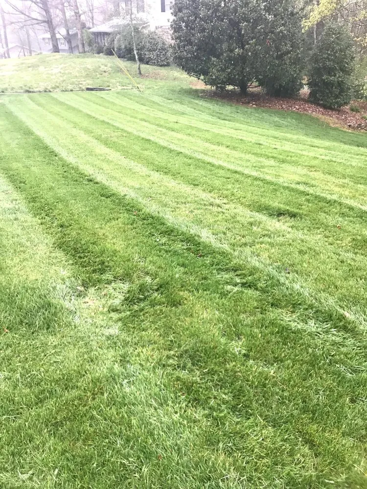 Trusted lawn mowing service in Knoxville, TN - Weed Man