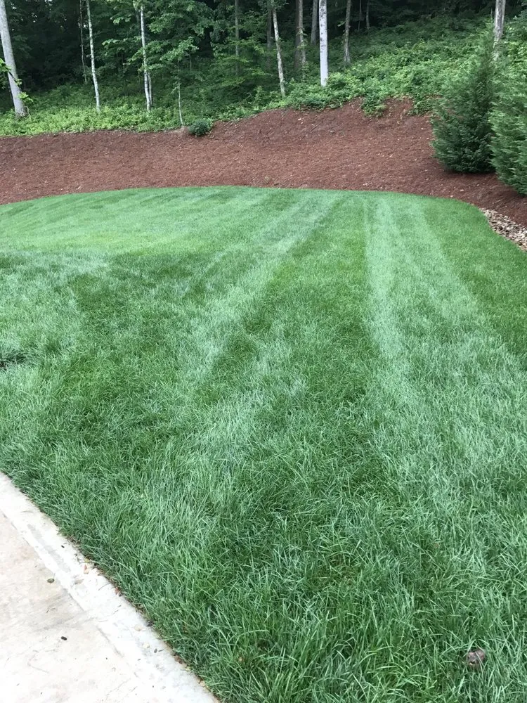 Local outdoor landscaping near you in Knoxville, TN by Weed Man