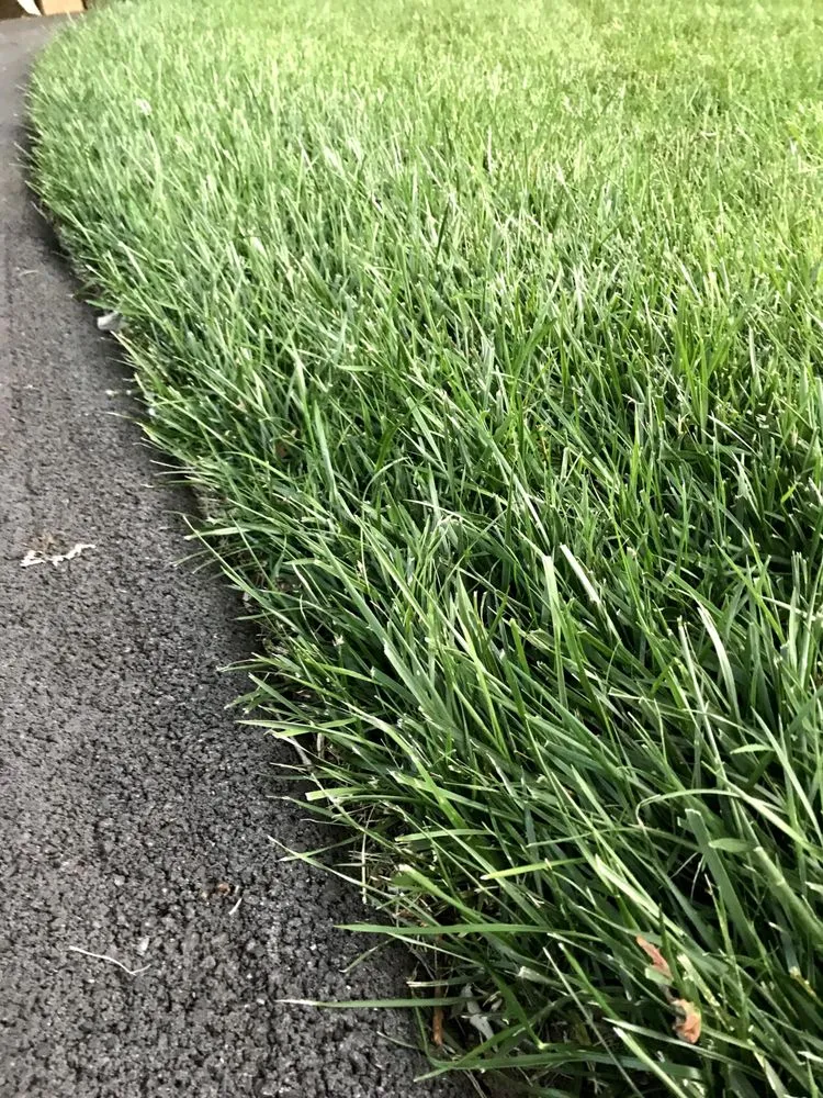 Affordable landscape design for beautiful yards in Knoxville, TN by Weed Man