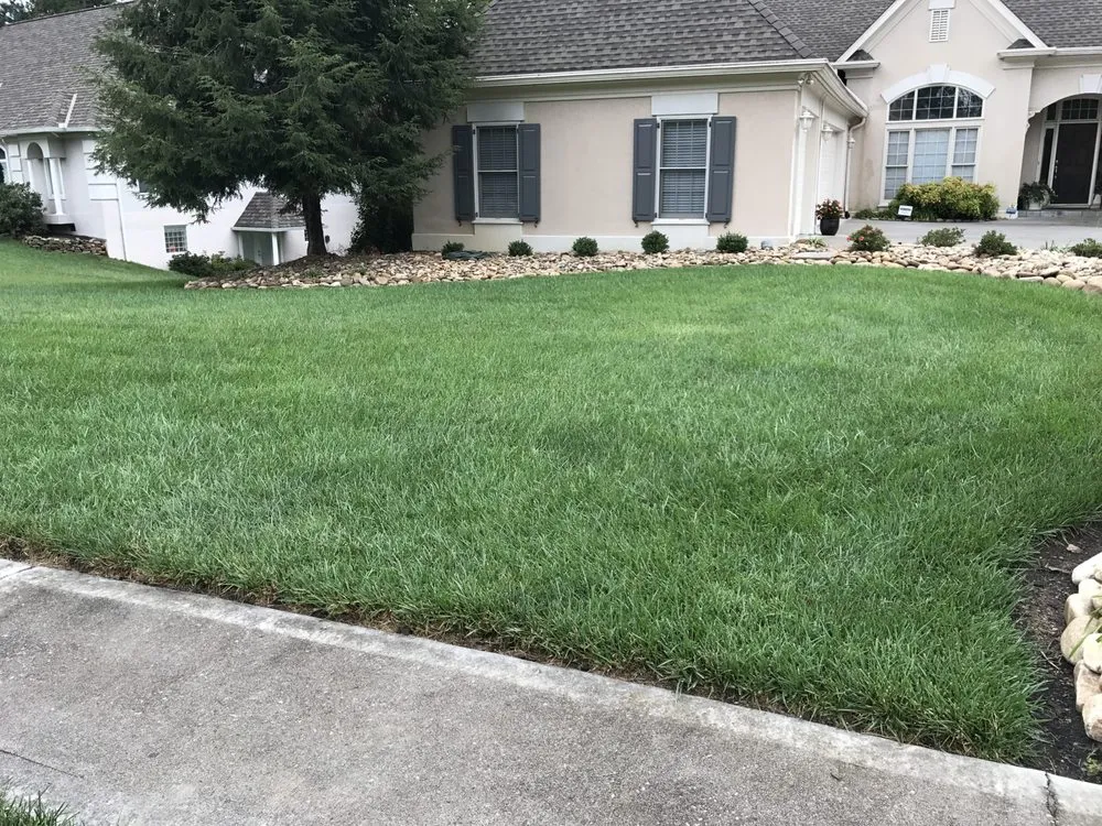 Local lawn care service for year-round maintenance in Knoxville, TN by Weed Man