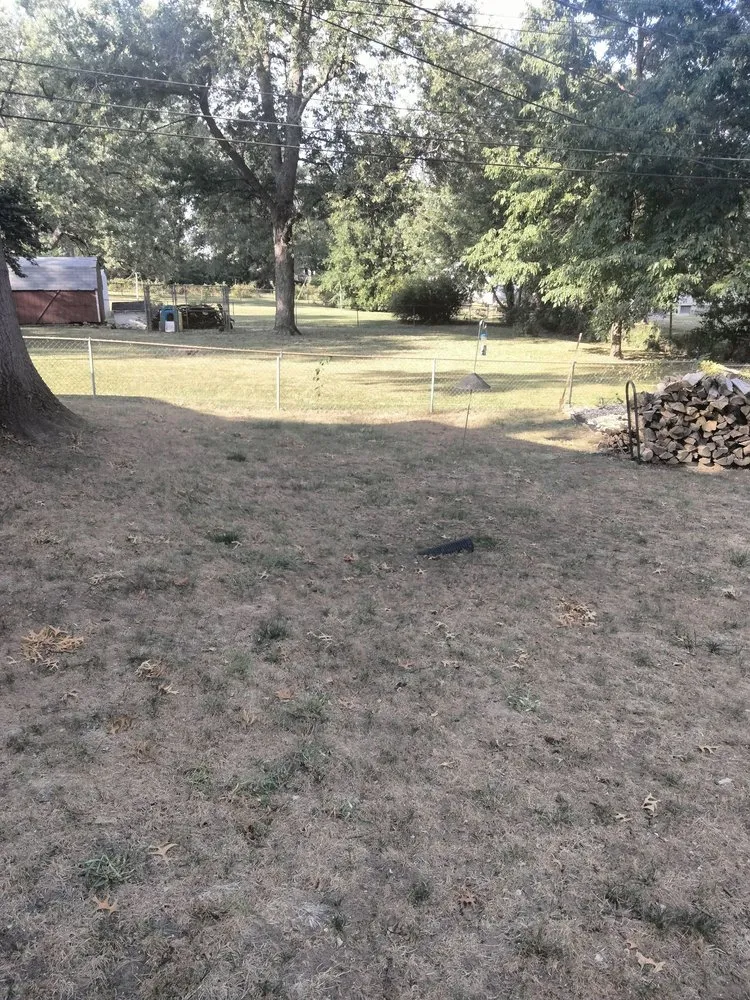 Custom yard maintenance experts serving Lee's Summit, MO - Weed Man