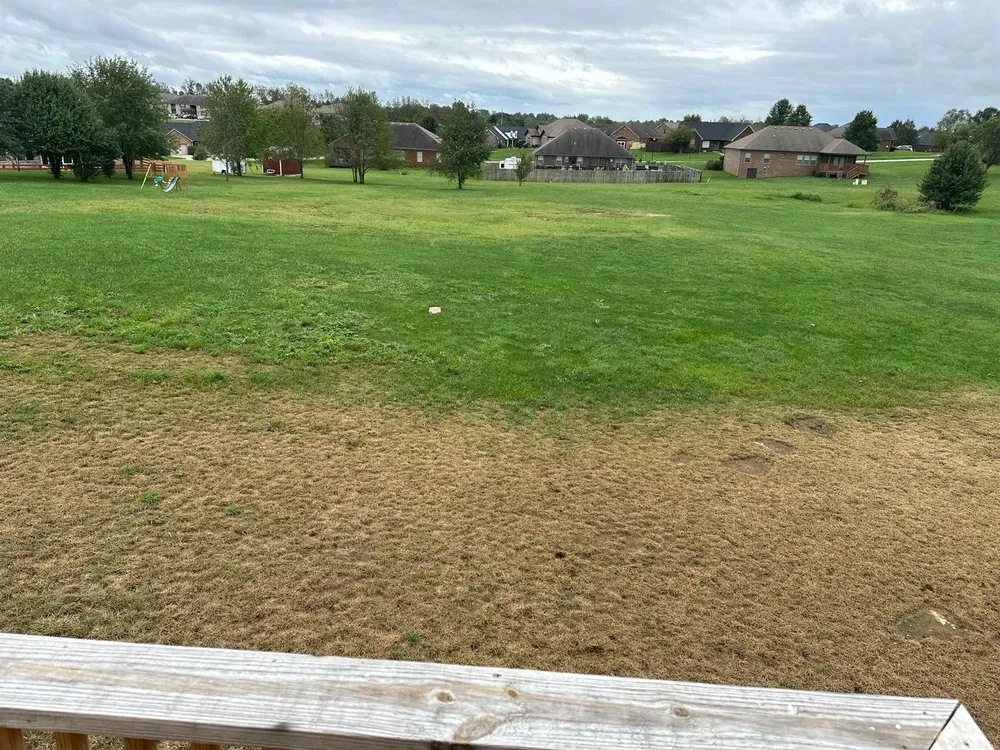 Custom lawn mowing service in Lexington, KY - Weed Man