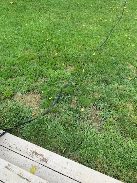 Expert landscape design experts serving Lexington, KY - Weed Man