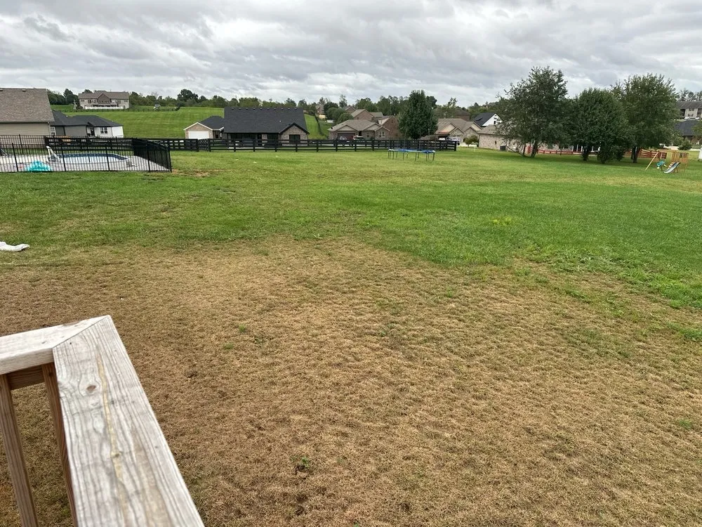 Local yard cleanup service in Lexington, KY - Weed Man