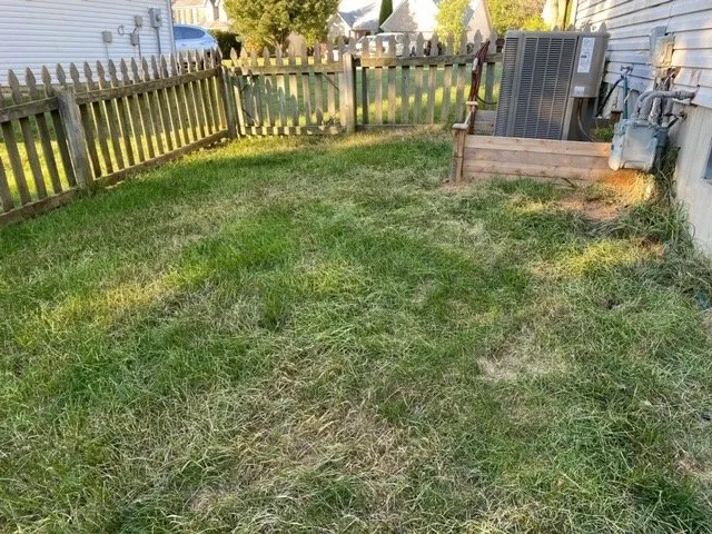 Local landscaping services near you in Louisville, KY by Weed Man