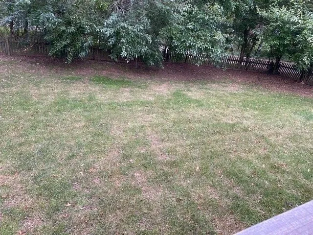 Reliable yard cleanup service in Louisville, KY - Weed Man