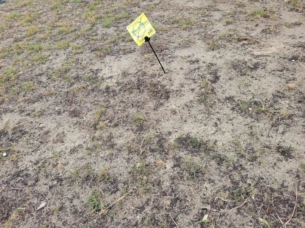 Reliable garden landscaping for homes across Louisville, KY - Weed Man