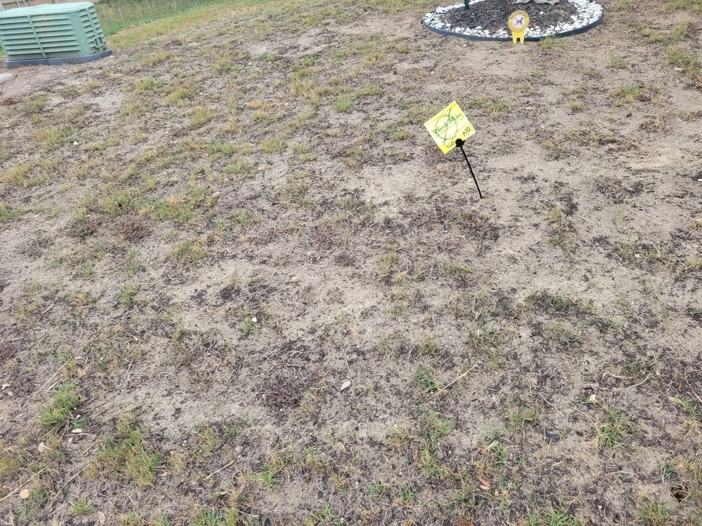 Reliable lawn care service experts serving Louisville, KY - Weed Man