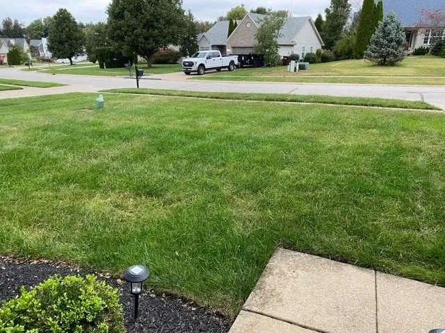 Top-rated yard cleanup service for outdoor upgrades across Louisville, KY - Weed Man