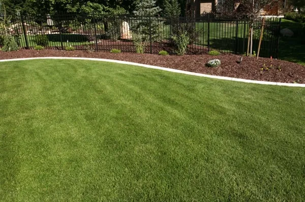 Trusted lawn mowing service experts serving Manassas, VA - Weed Man