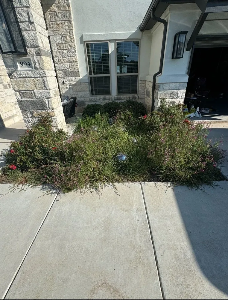 Reliable lawn care service experts serving Manor, TX - Weed Man