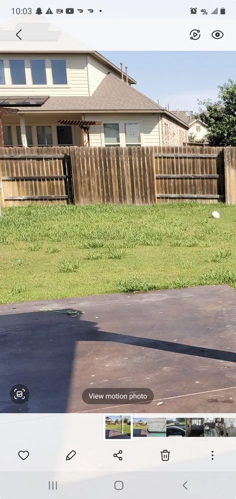 Trusted landscaping services for outdoor upgrades in Manor, TX by Weed Man