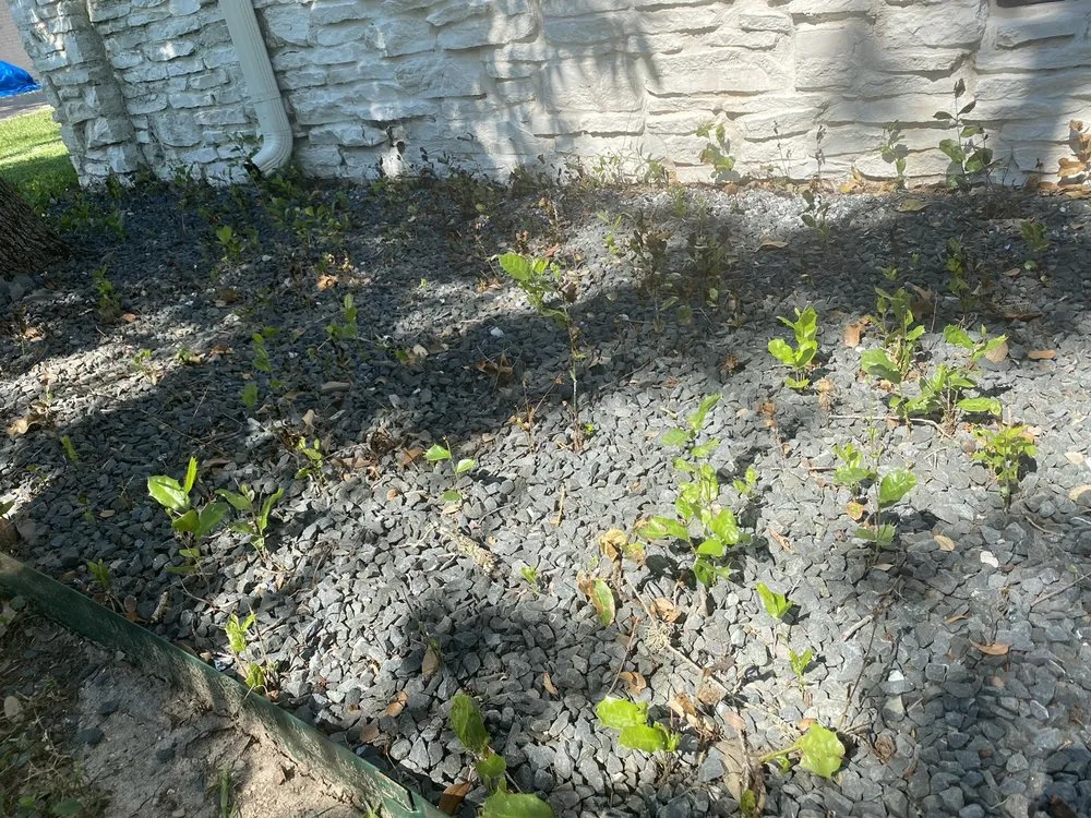 Trusted garden landscaping in Manor, TX by Weed Man