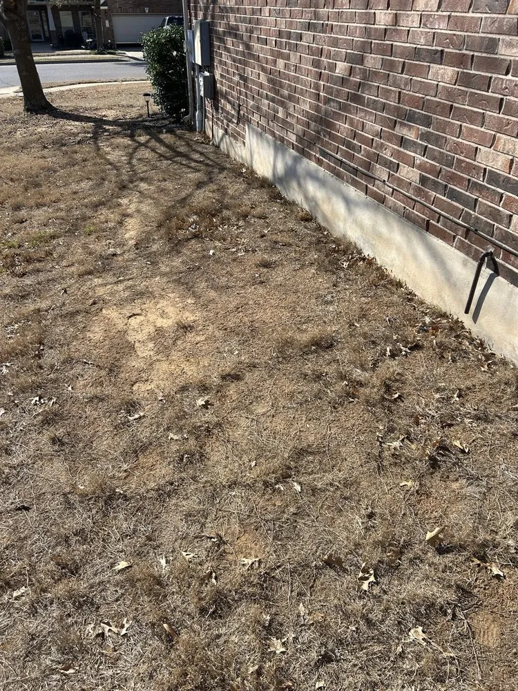 Professional yard cleanup service for homes in Manor, TX by Weed Man