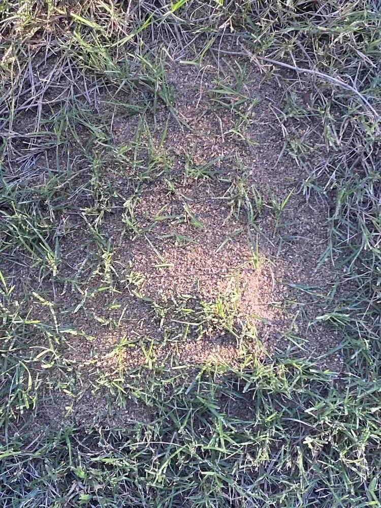 Trusted outdoor landscaping in Manor, TX by Weed Man