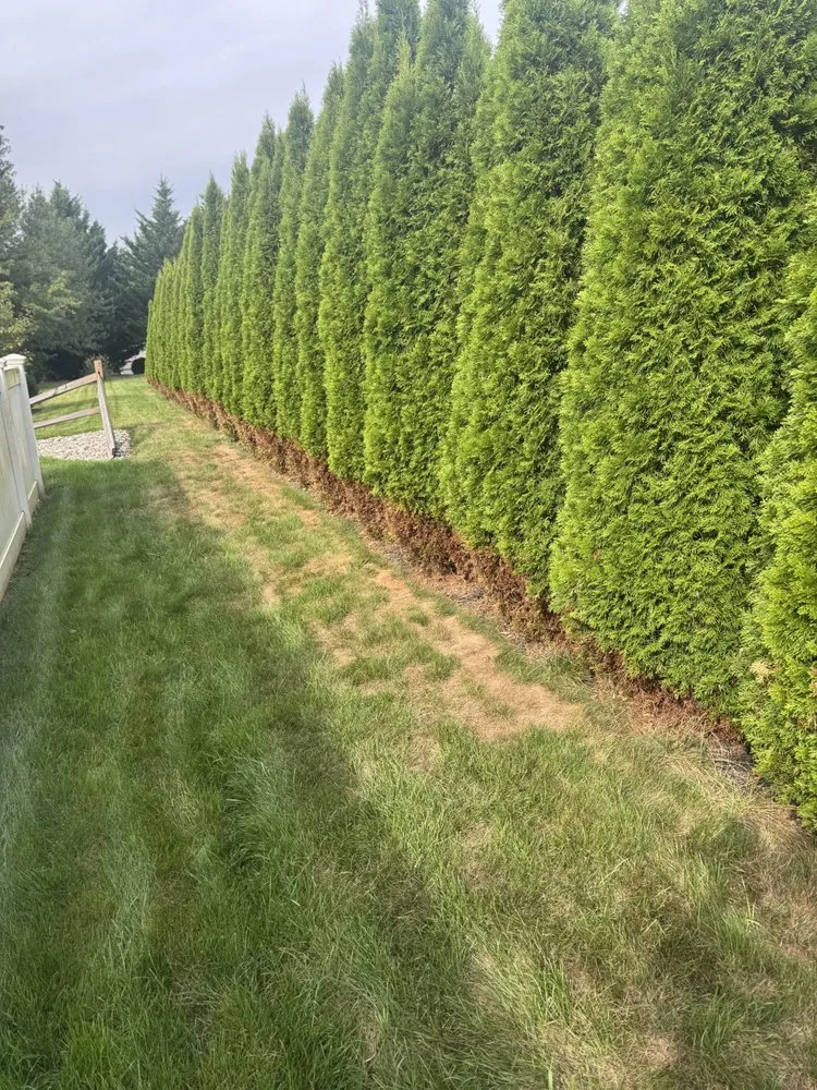 Local landscape installation experts serving Mechanicsburg, PA - Weed Man