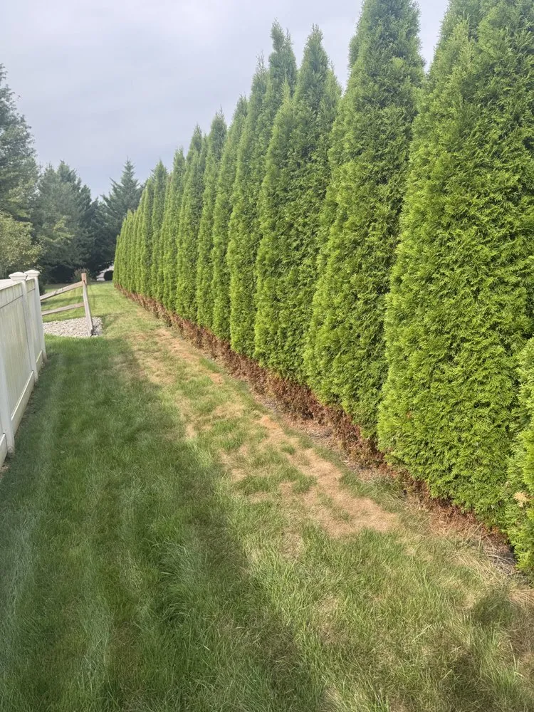 Professional landscape design experts serving Mechanicsburg, PA - Weed Man