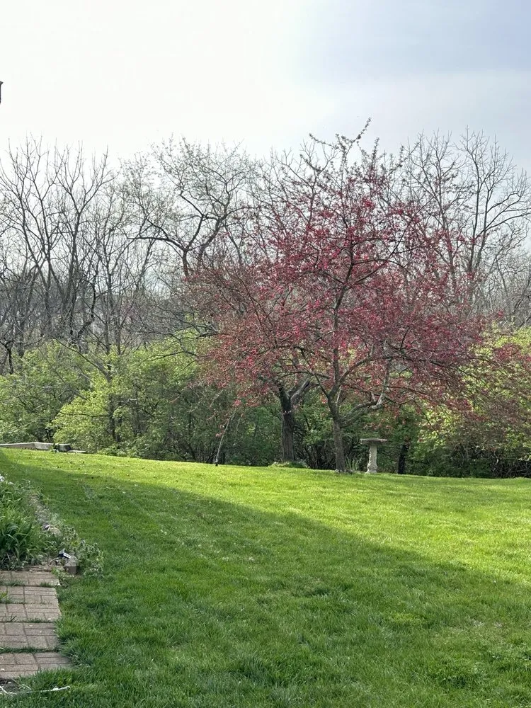 Expert residential landscaping for residential properties across Memphis, TN - Weed Man