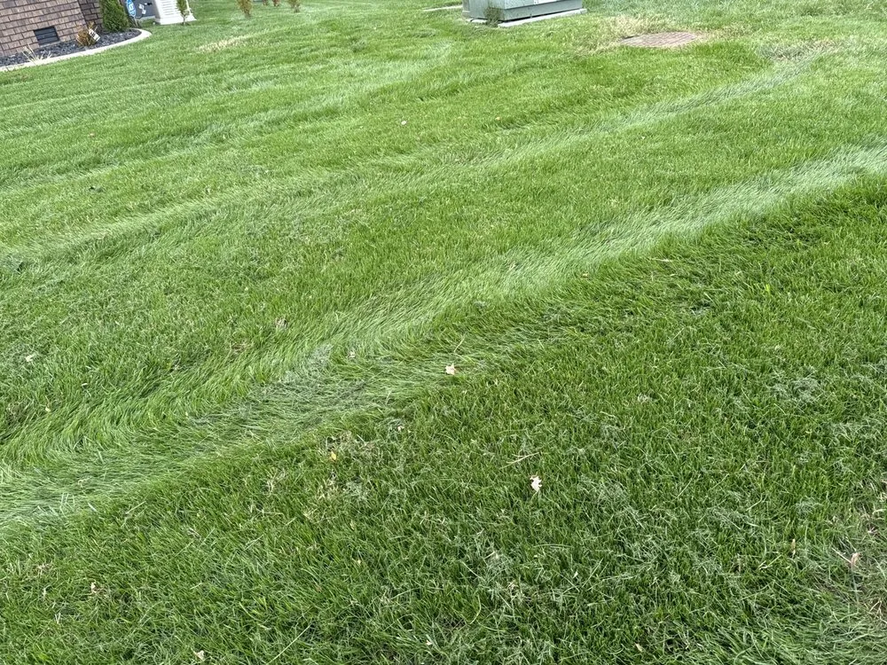 Custom yard maintenance in Memphis, TN by Weed Man