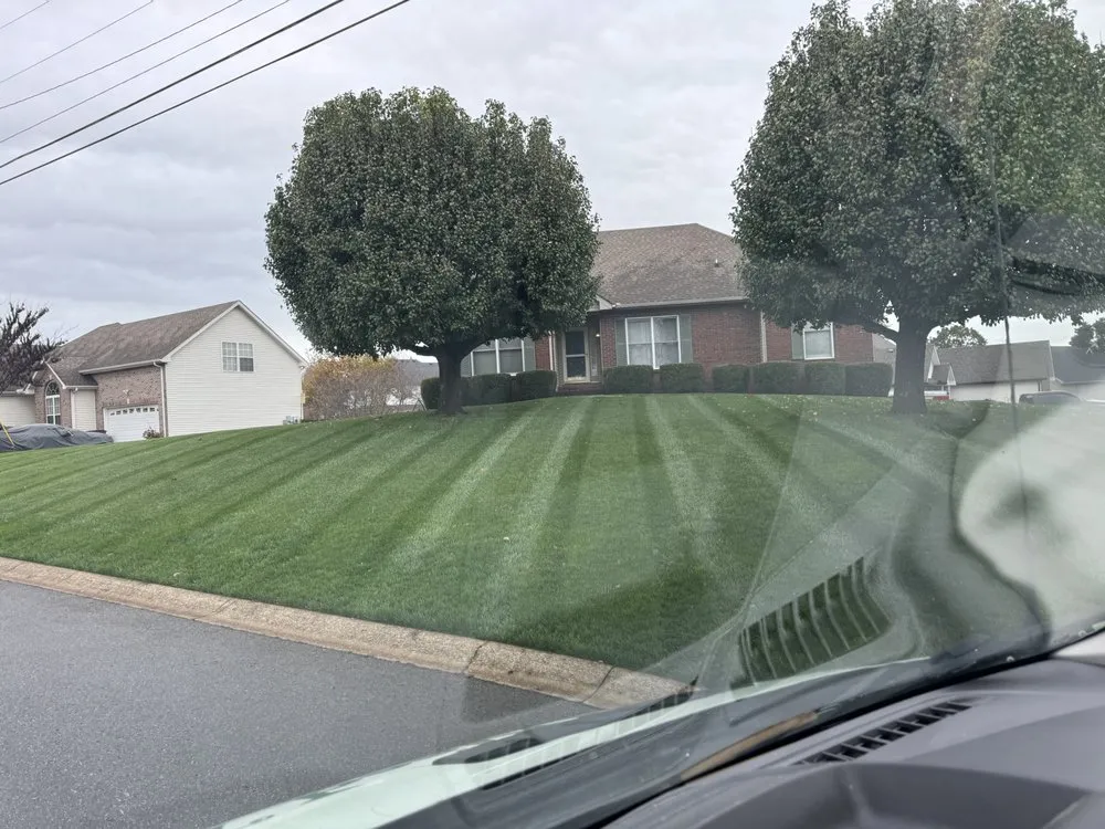 Trusted yard maintenance in Memphis, TN by Weed Man