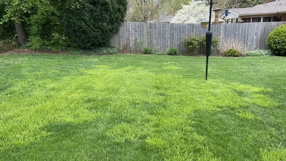 Reliable landscape installation with custom design across Memphis, TN - Weed Man