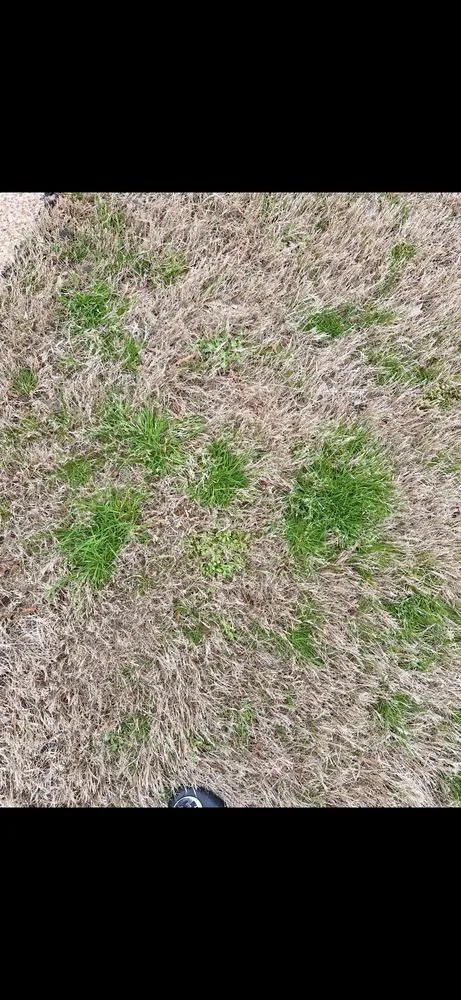 Reliable outdoor landscaping in Memphis, TN - Weed Man