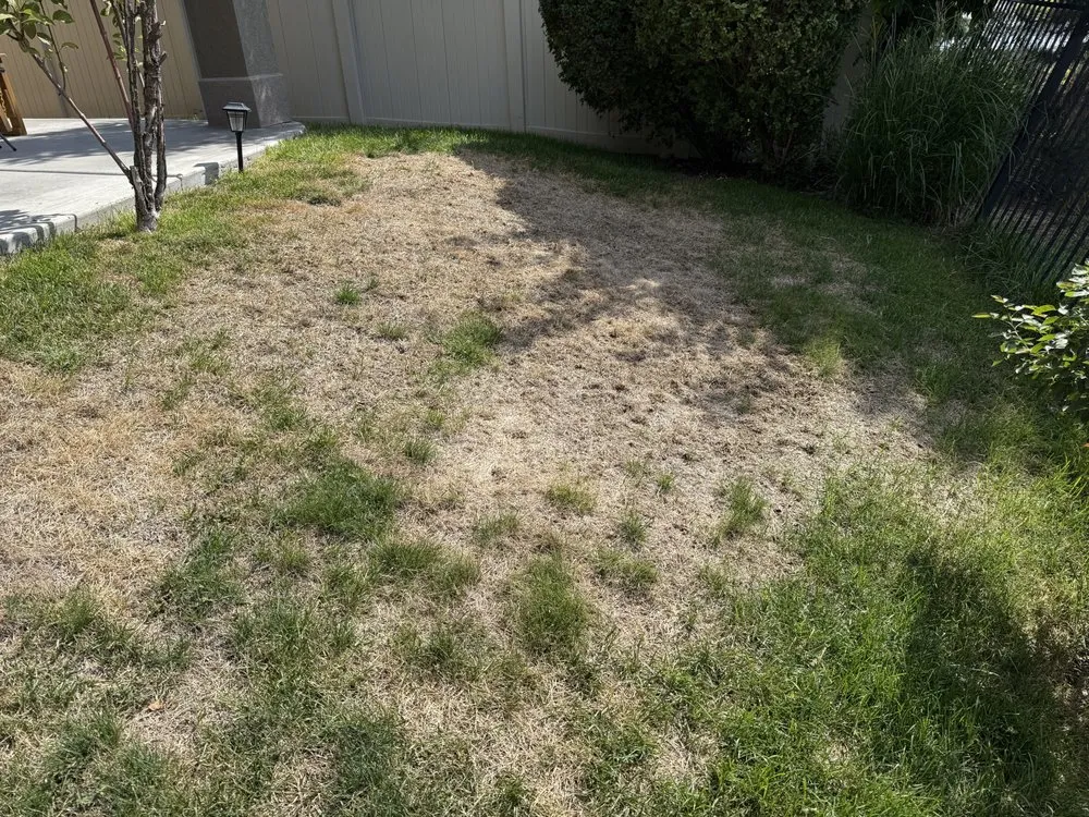 Professional garden landscaping in Meridian, ID - Weed Man