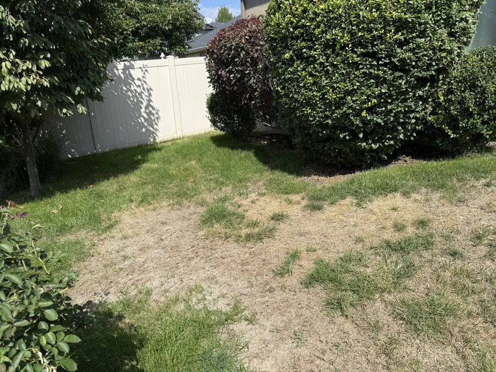 Reliable landscape installation near you in Meridian, ID by Weed Man