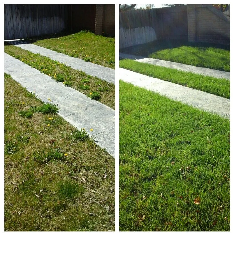 Top-rated lawn care service for outdoor upgrades in Meridian, ID by Weed Man