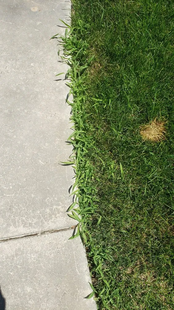 Professional landscaping services for beautiful yards in Meridian, ID by Weed Man