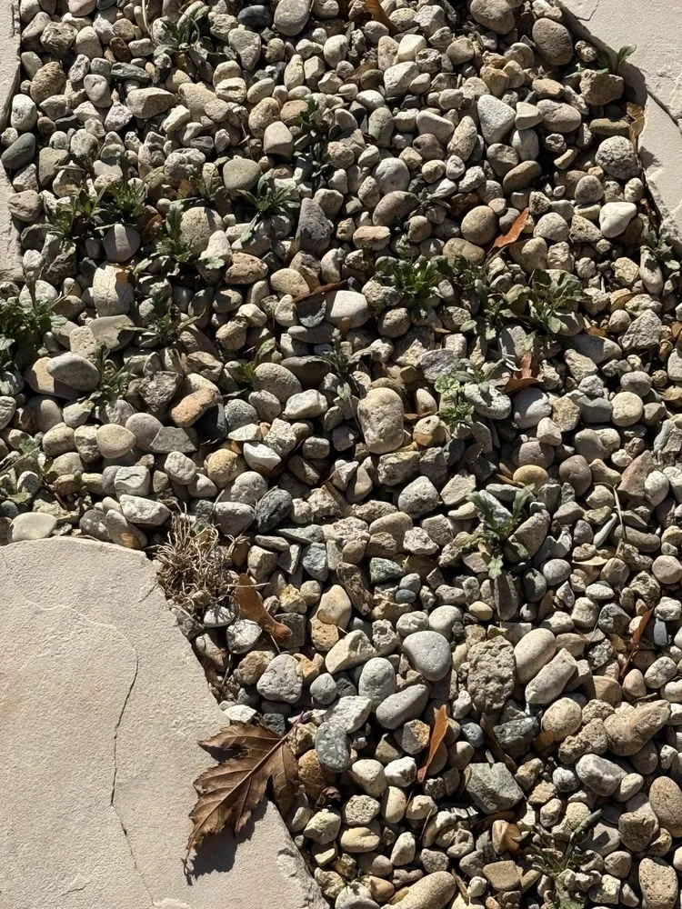 Reliable yard maintenance in Meridian, ID by Weed Man